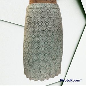 🌹 2/$20 Sweet salt mint green embroidered cotton pencil skirt.